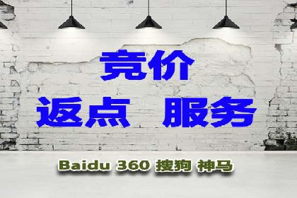 SEM代理服务：助力企业精准营销案例解析