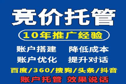 百度竞价推广案例：行业领军者成长故事